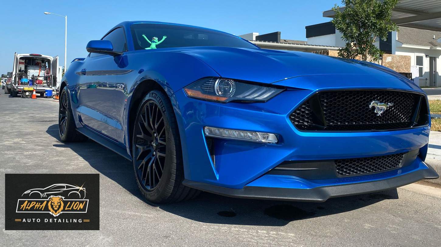 Auto Detailed Blue Mustang